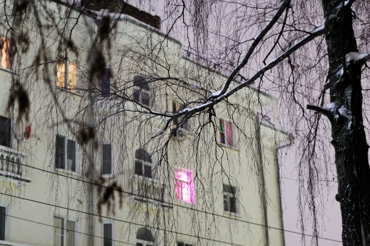 ветвь березы трещиной расколола дом - Артём ветвь березы трещиной расколола дом - Артём