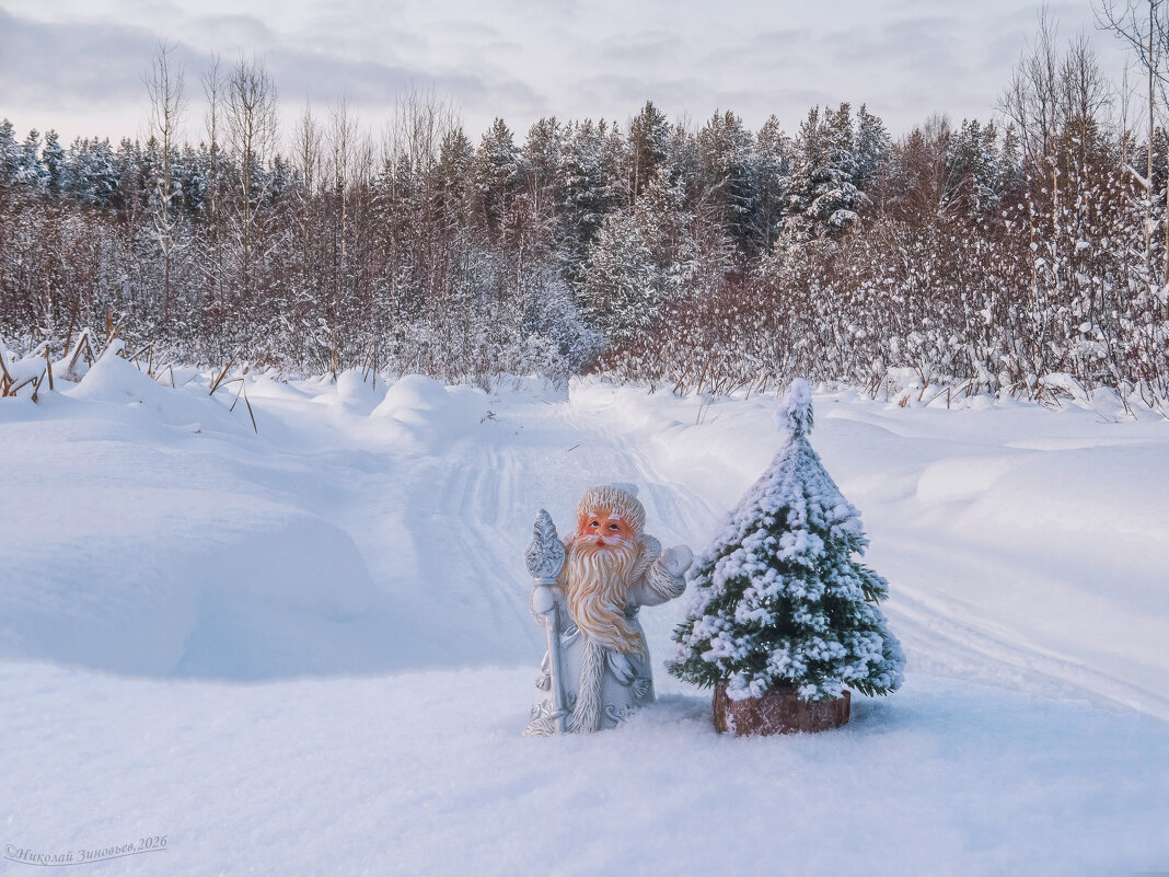 Морозные окрестности Ухты. - Николай Зиновьев