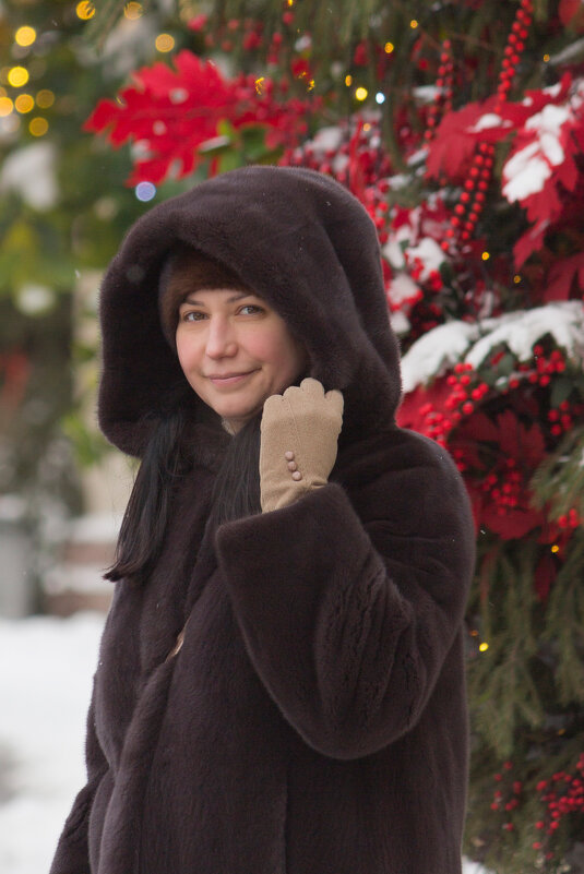 Зимний портрет - Алексей Булак