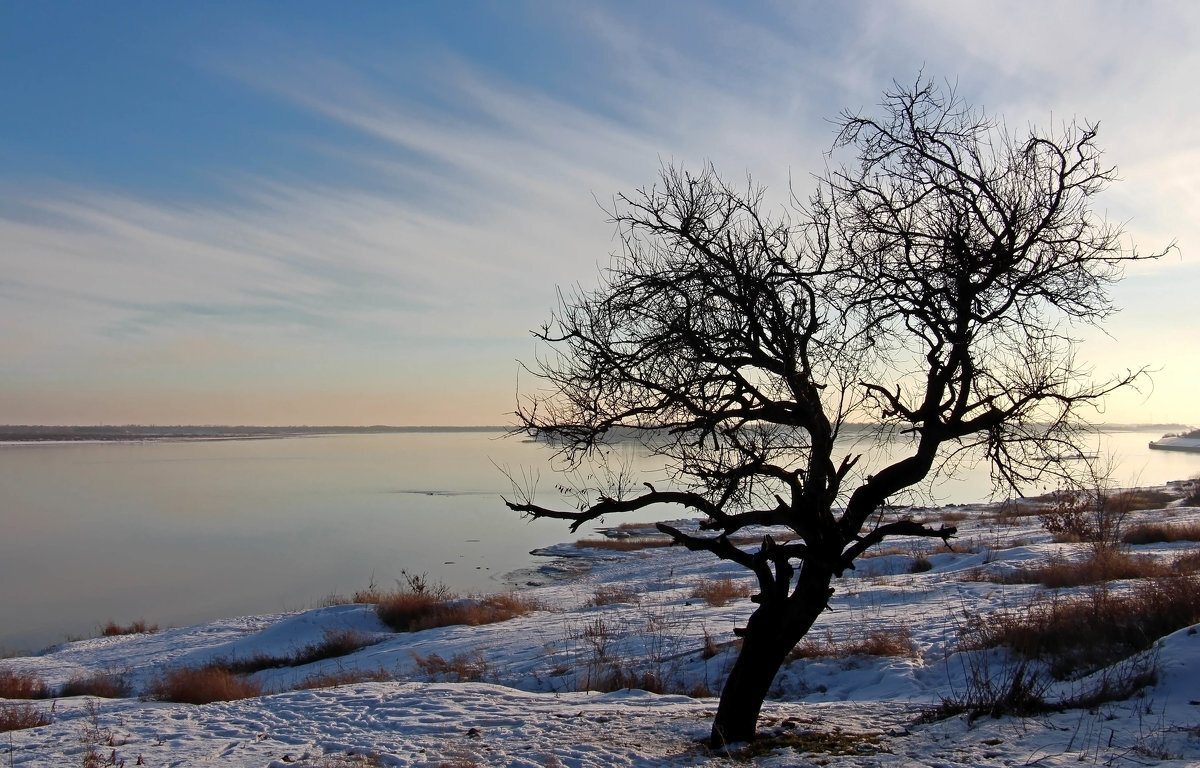 Январь - Олегъ Петрович