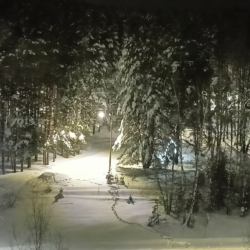 замело снегом вход в парк - Владимир 