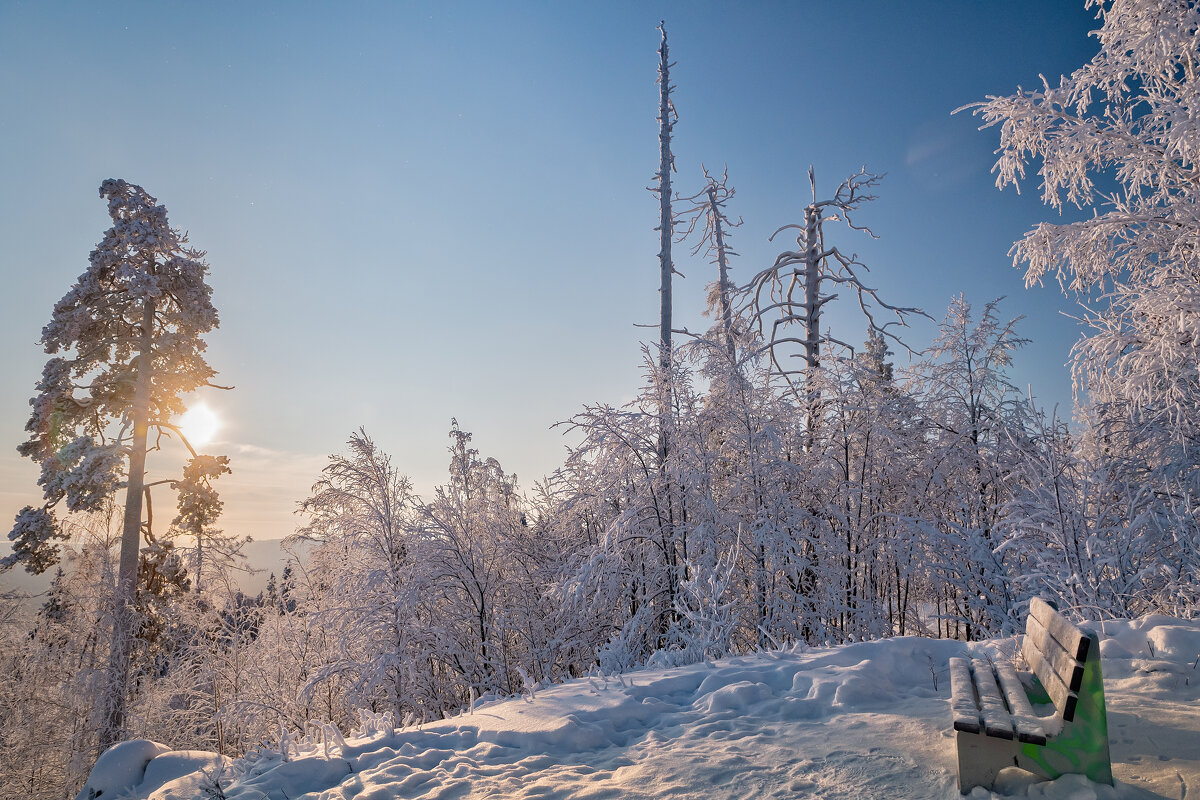 ****** - Вячеслав Овчинников