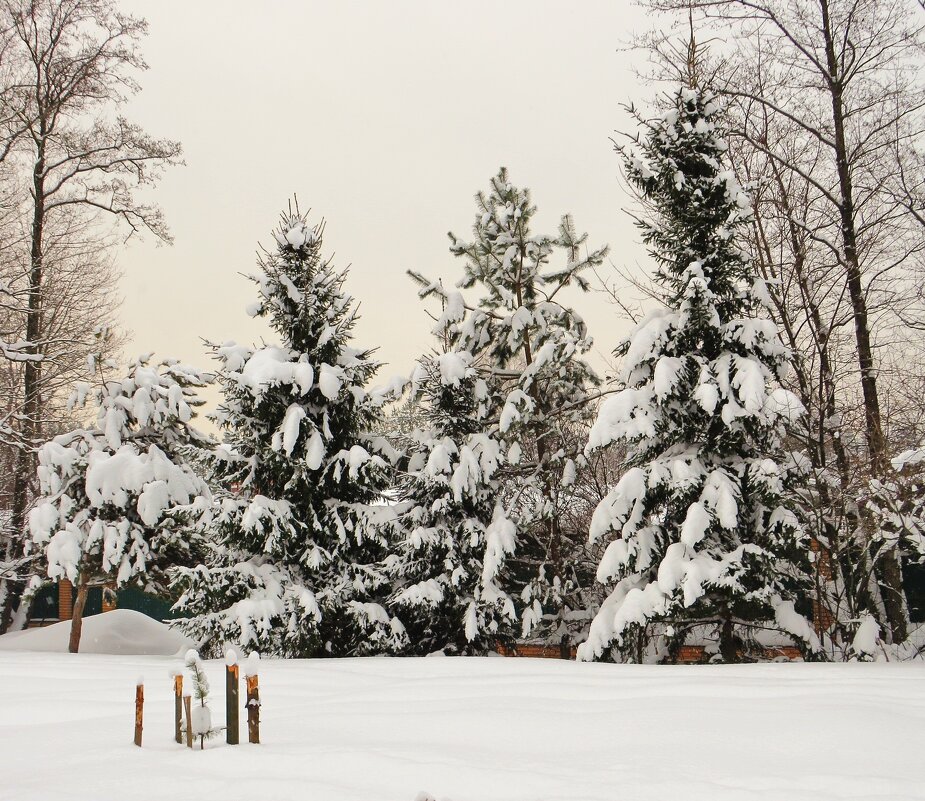 В снежном убранстве - Андрей Снегерёв