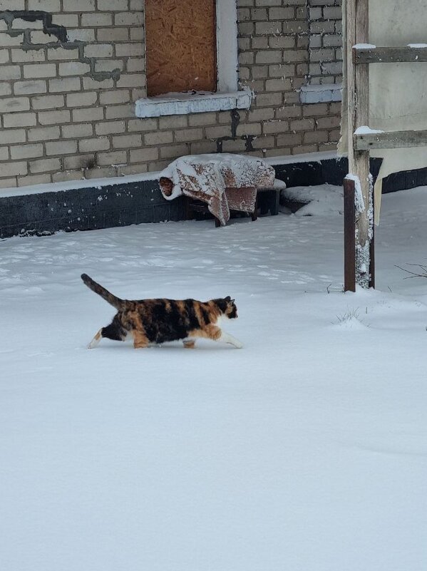 Целенаправленное движение - Наталья 