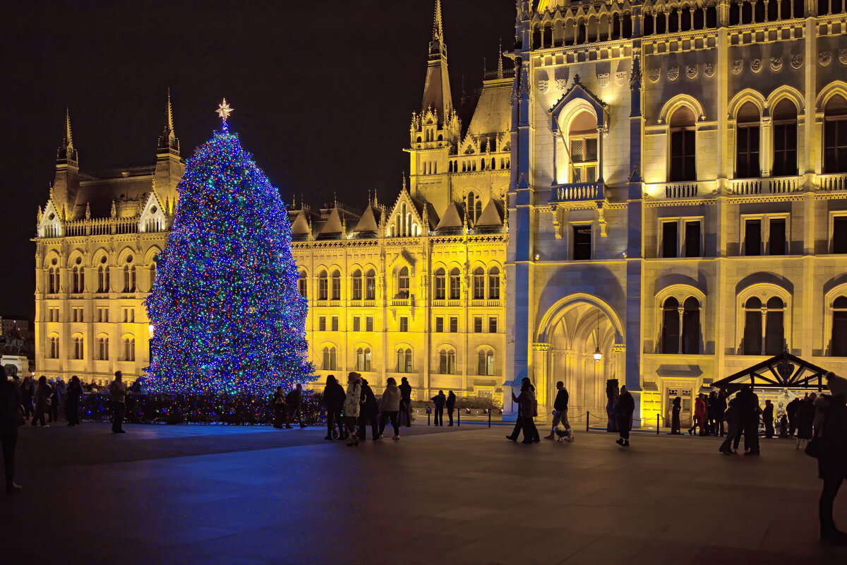 Рождественская ночь - Sergey Grim