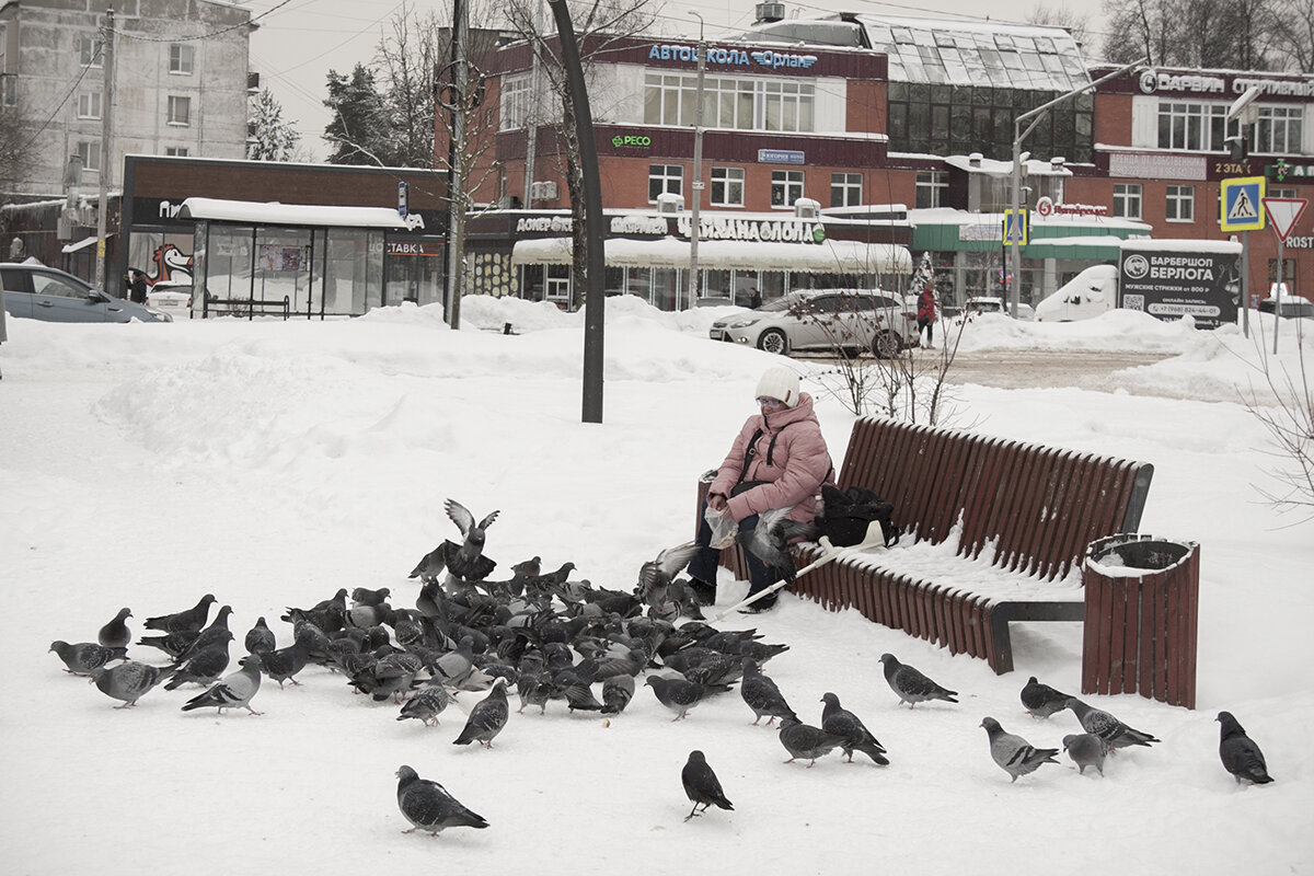 Городские картинки - Владимир Носов