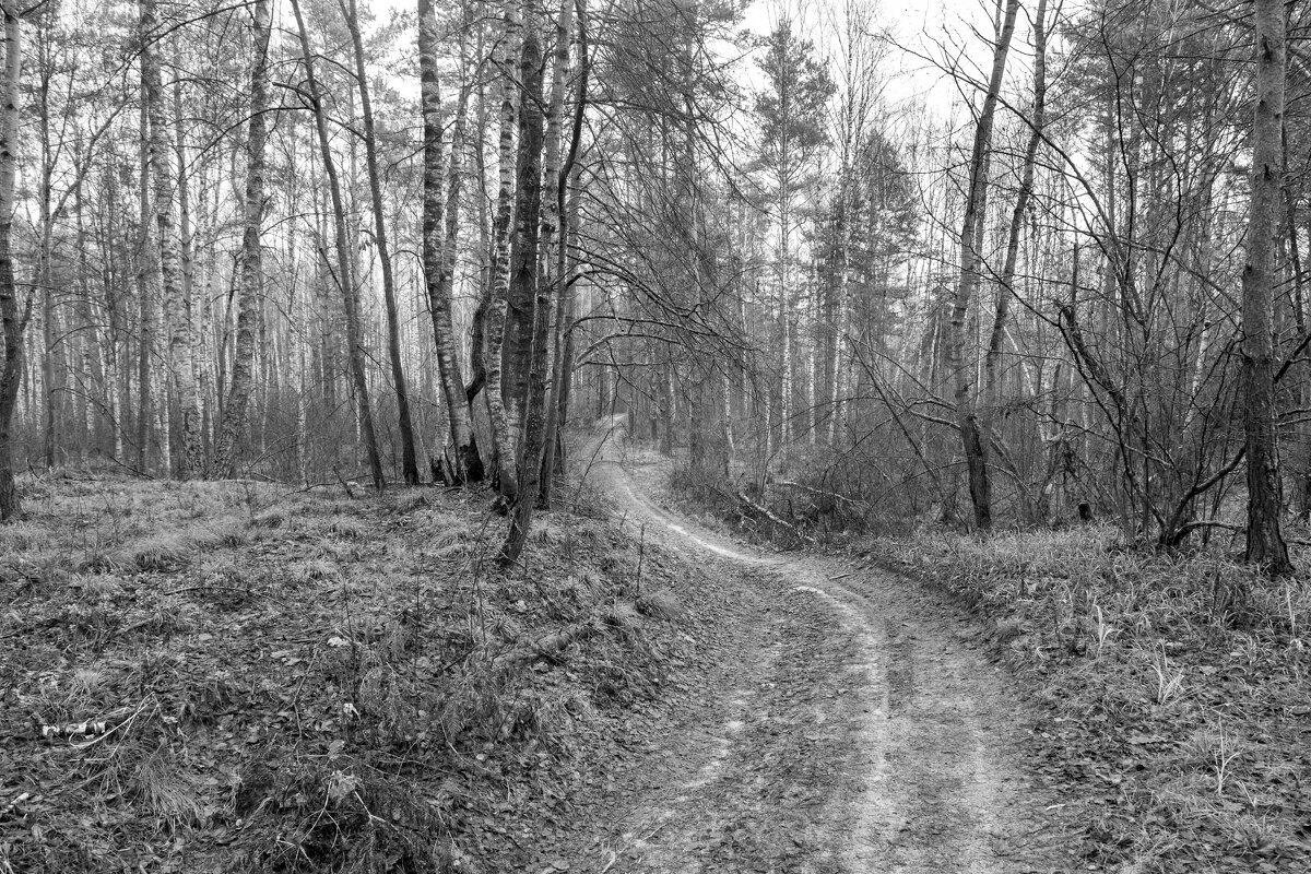 Осенний марафон. - Сергей Татаринов