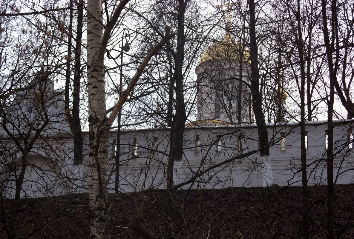 Рождественский мужской монастырь. Город Владимир. - Ирина ***