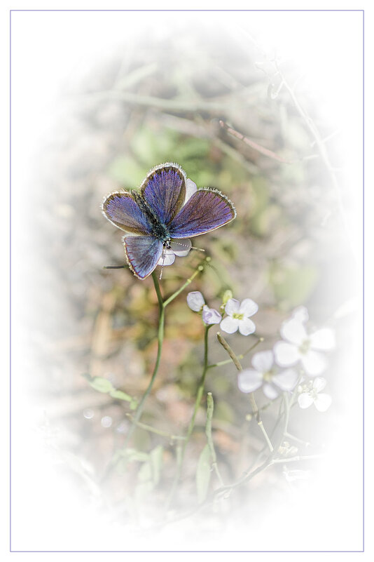 *  *  * - Андрей Бобин