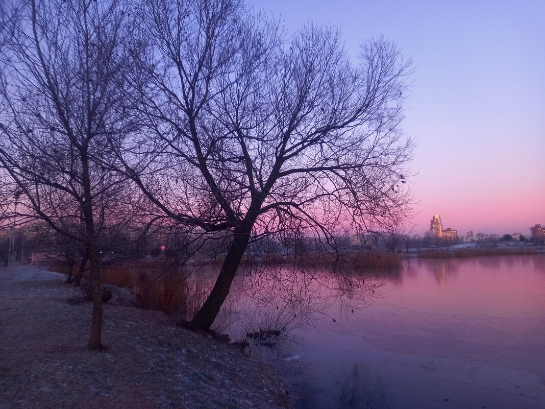 Рассвет - Сапсан 