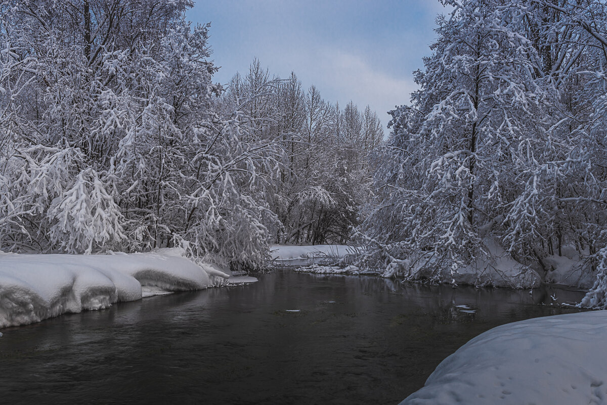 ... - Жора Житников