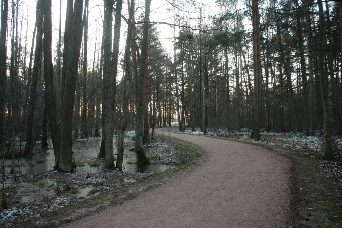 Парк Александрия - Наталья Герасимова