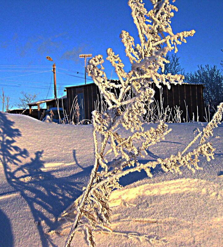 Старый Нефтеюганск.Мороз..Куржак! - Владимир 