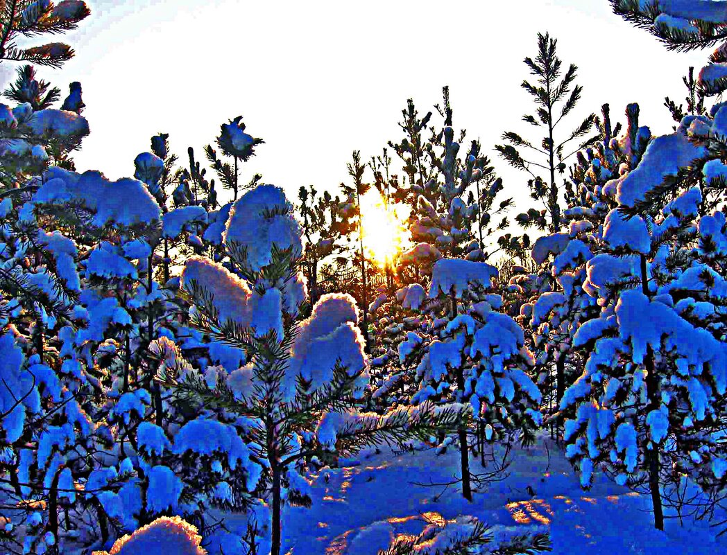 Декабрь...Снежно-морозное утро! - Владимир 