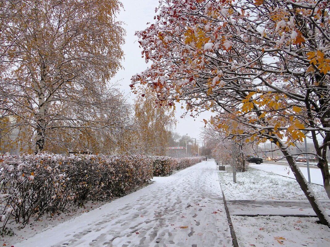 Октябрь - Лариса С.