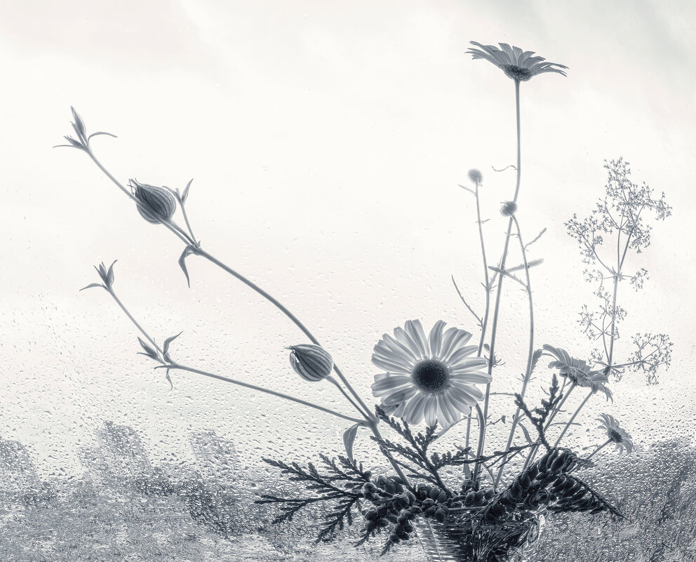 На подоконнике. - Владимир Владимир