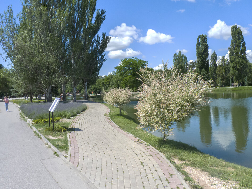 Лето в парке  Гагарина - Валентин Семчишин