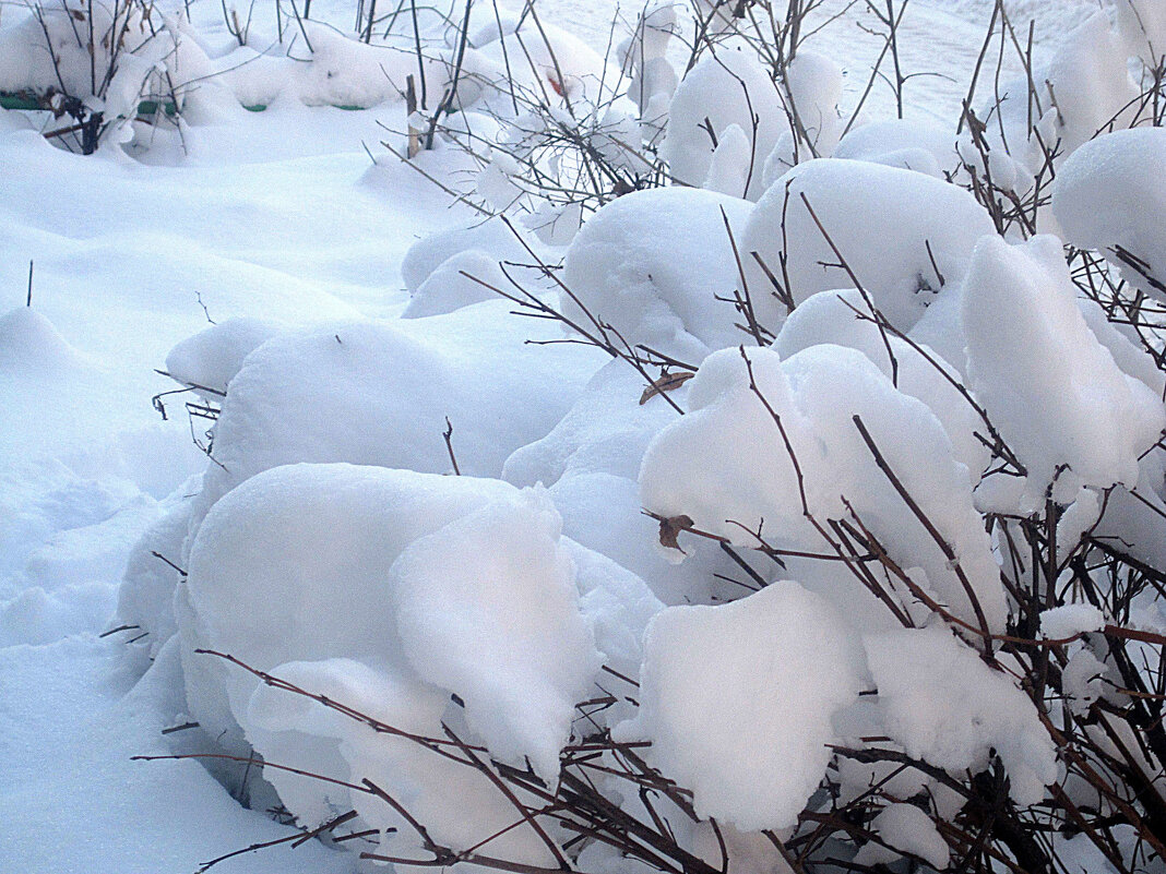 Снег - Елена Семигина