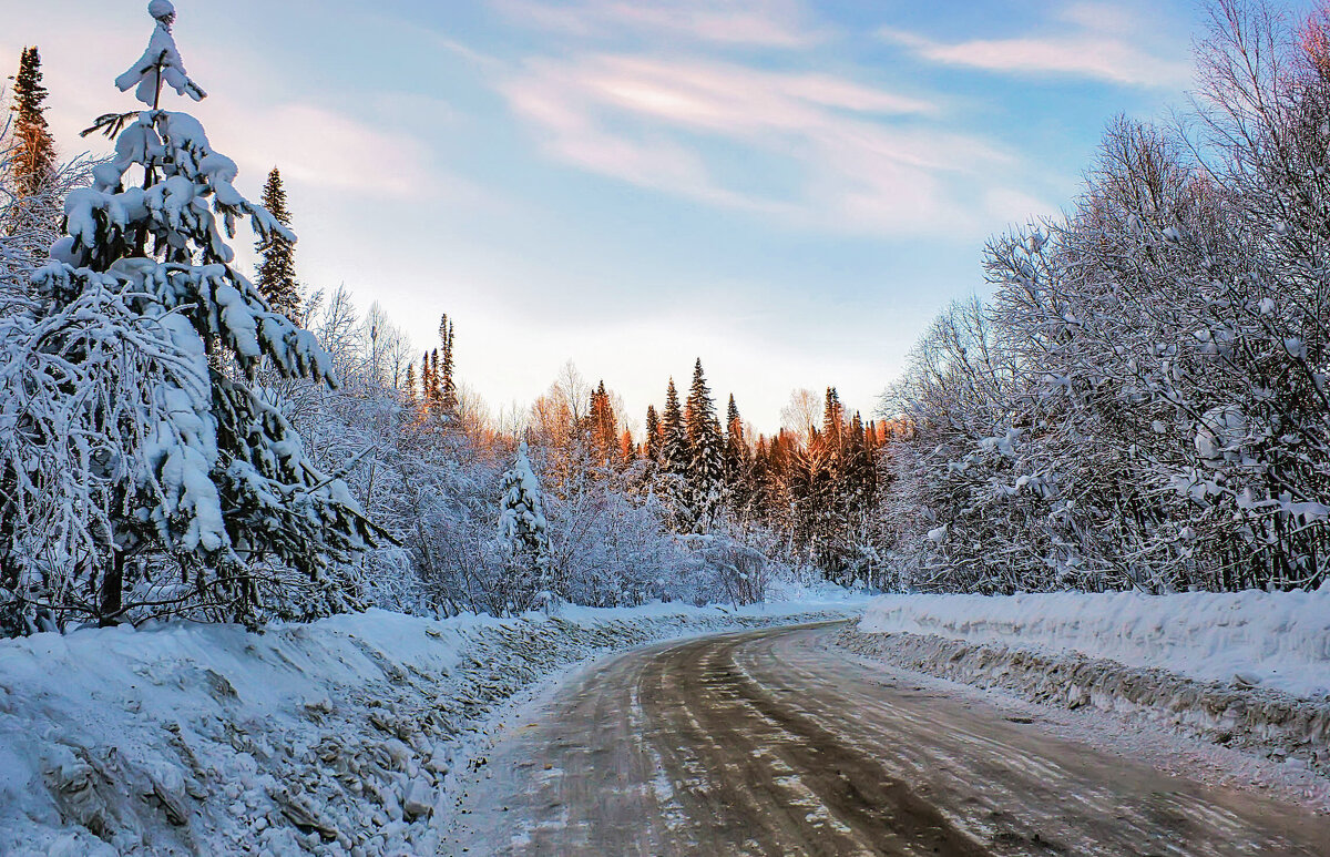 Зимняя дорога - елена беликова