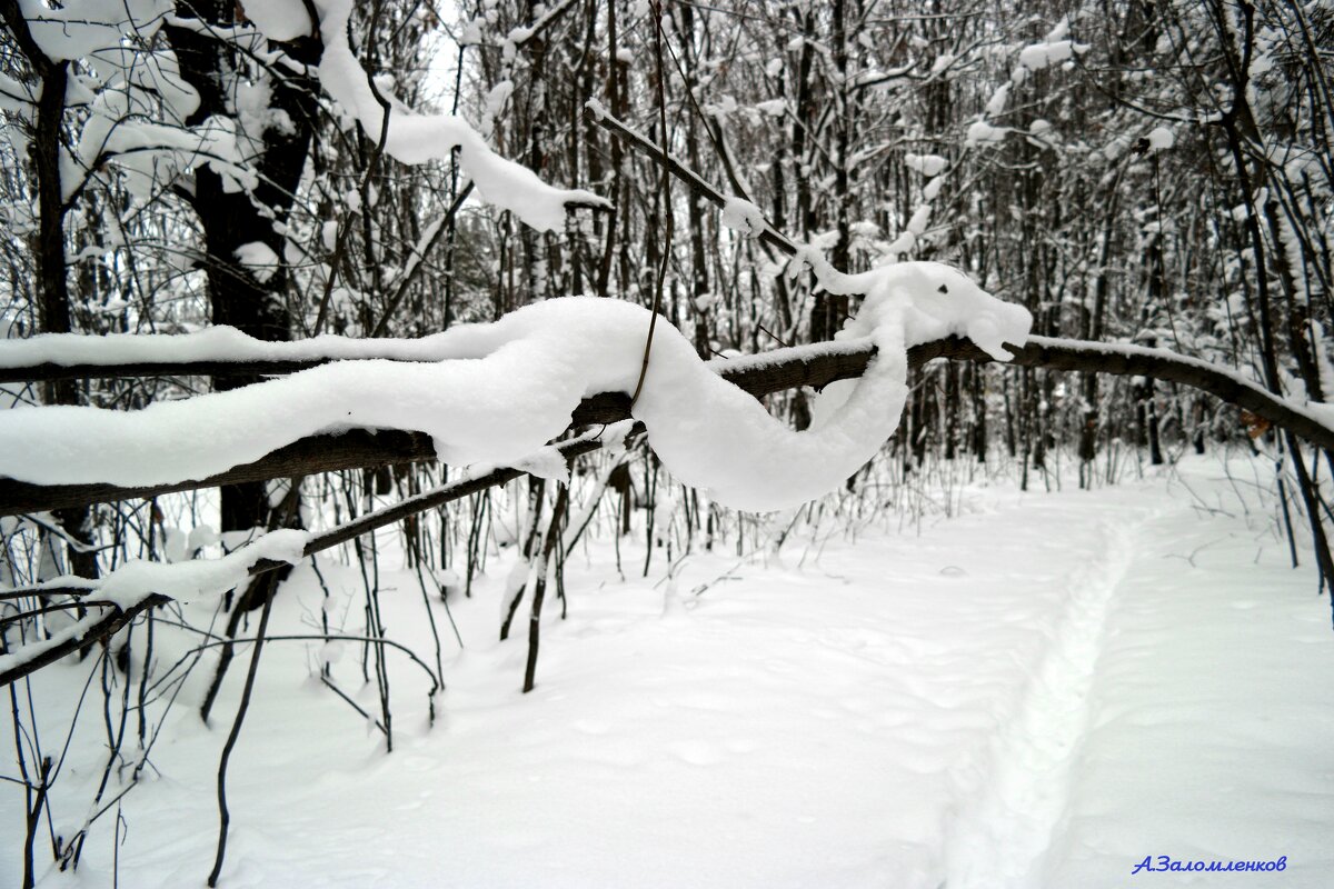 Про снежных змеев... - Андрей Заломленков