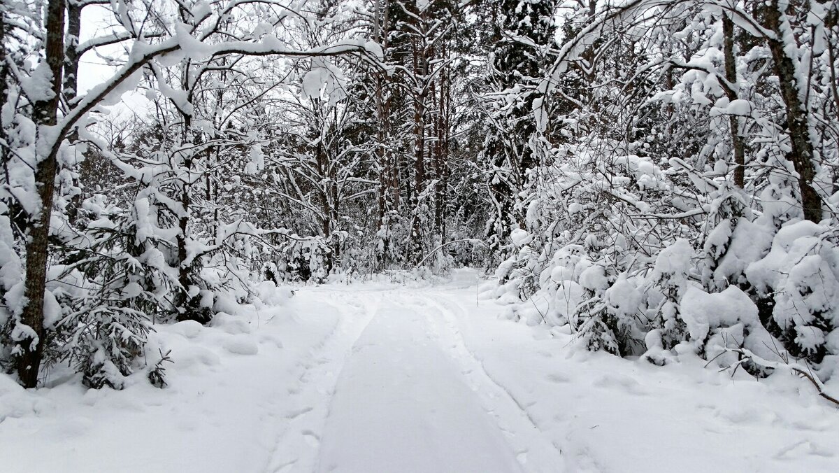 Про смоленскую зиму. - Милешкин Владимир Алексеевич 