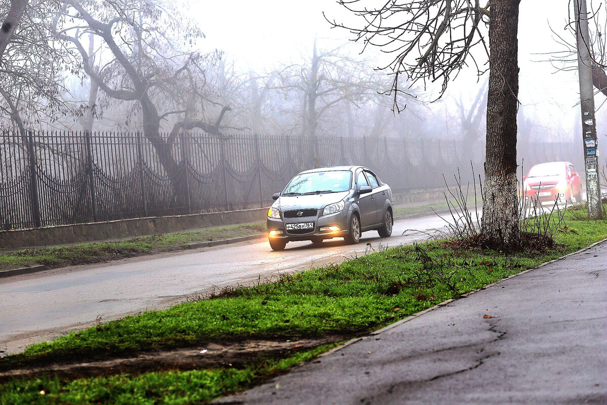 В тумане - Юрий Гайворонскiий