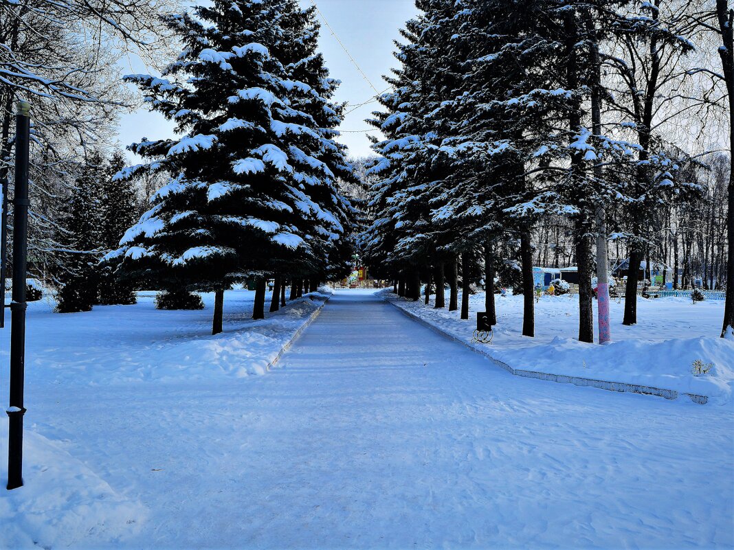 Чебоксары. Центральная аллея детского парка им. А.Г. Николаева зимой. - Пётр Чернега Чебоксары. Центральная аллея детского парка им. А.Г. Николаева зимой. - Пётр Чернега