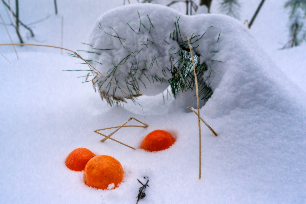 Оранжевые на белом - sorovey Sol Оранжевые на белом - sorovey Sol