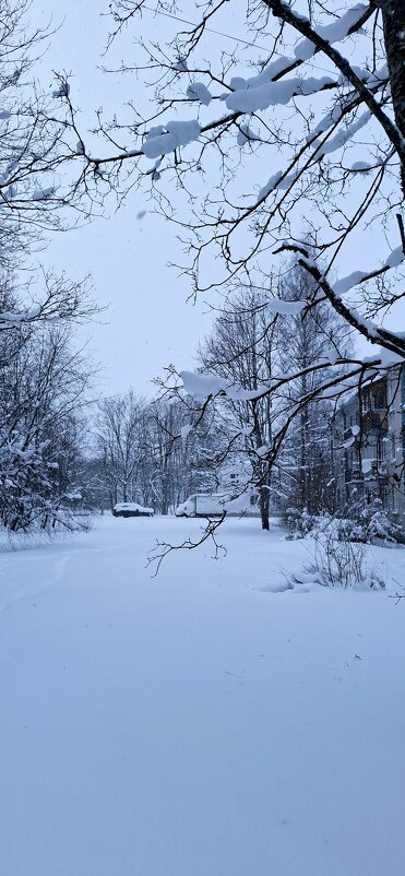 Снежно и почти нетронуто - Хватова Марина 