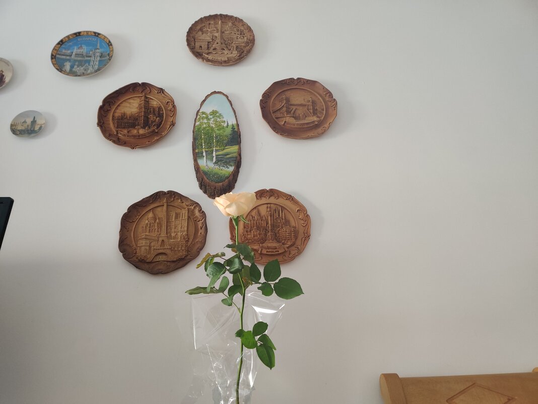 " - Светлана Хращевская