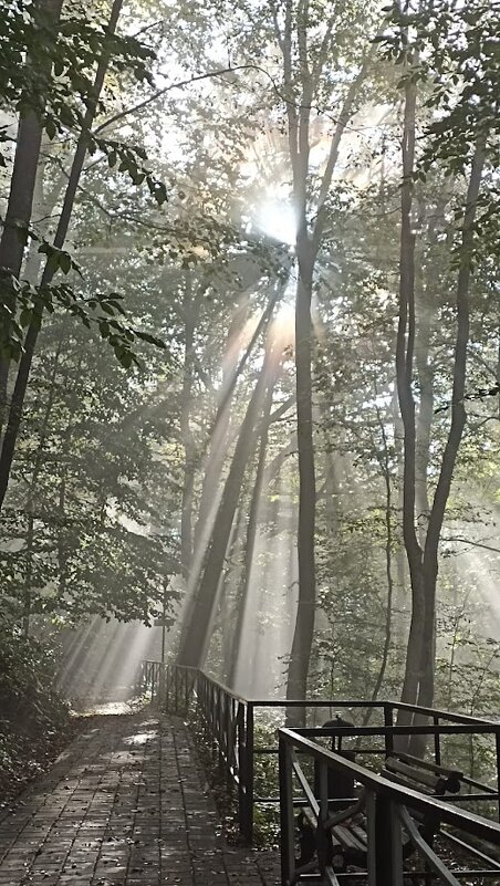 Свято - Михайловский афонский мужской монастырь, Адыгея - Екатерина Леш