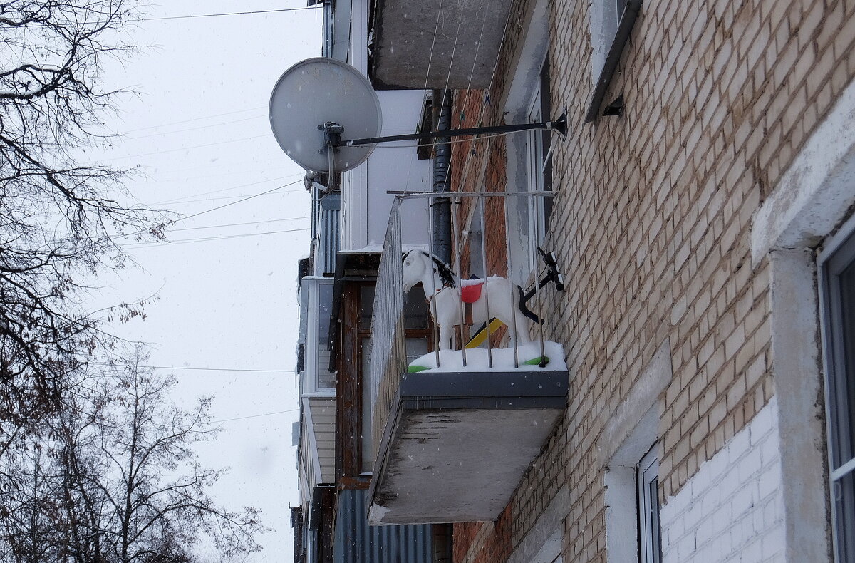 Символ года...встретили и выпроводили! - Люба Символ года...встретили и выпроводили! - Люба