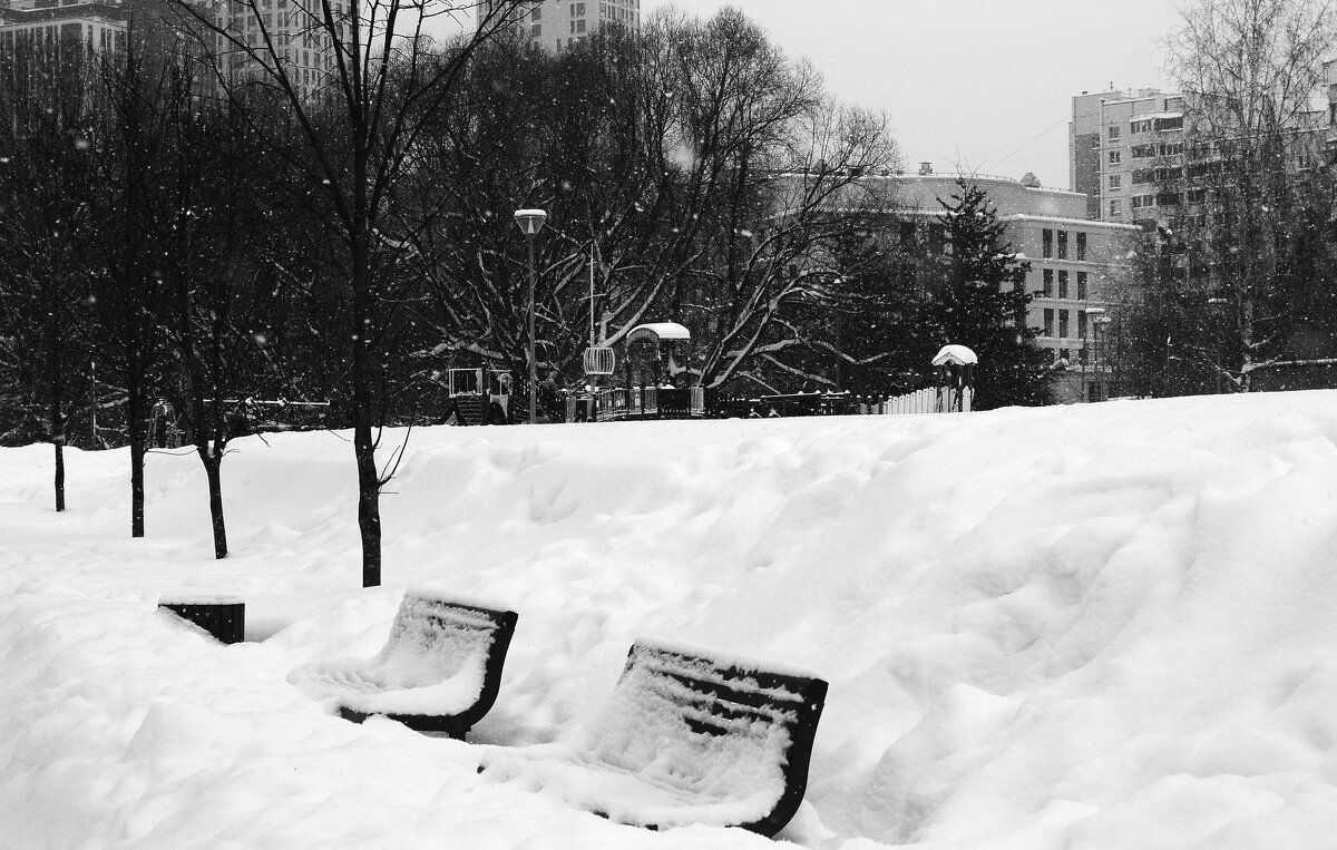 Занесённые снегом. - Василий Палий