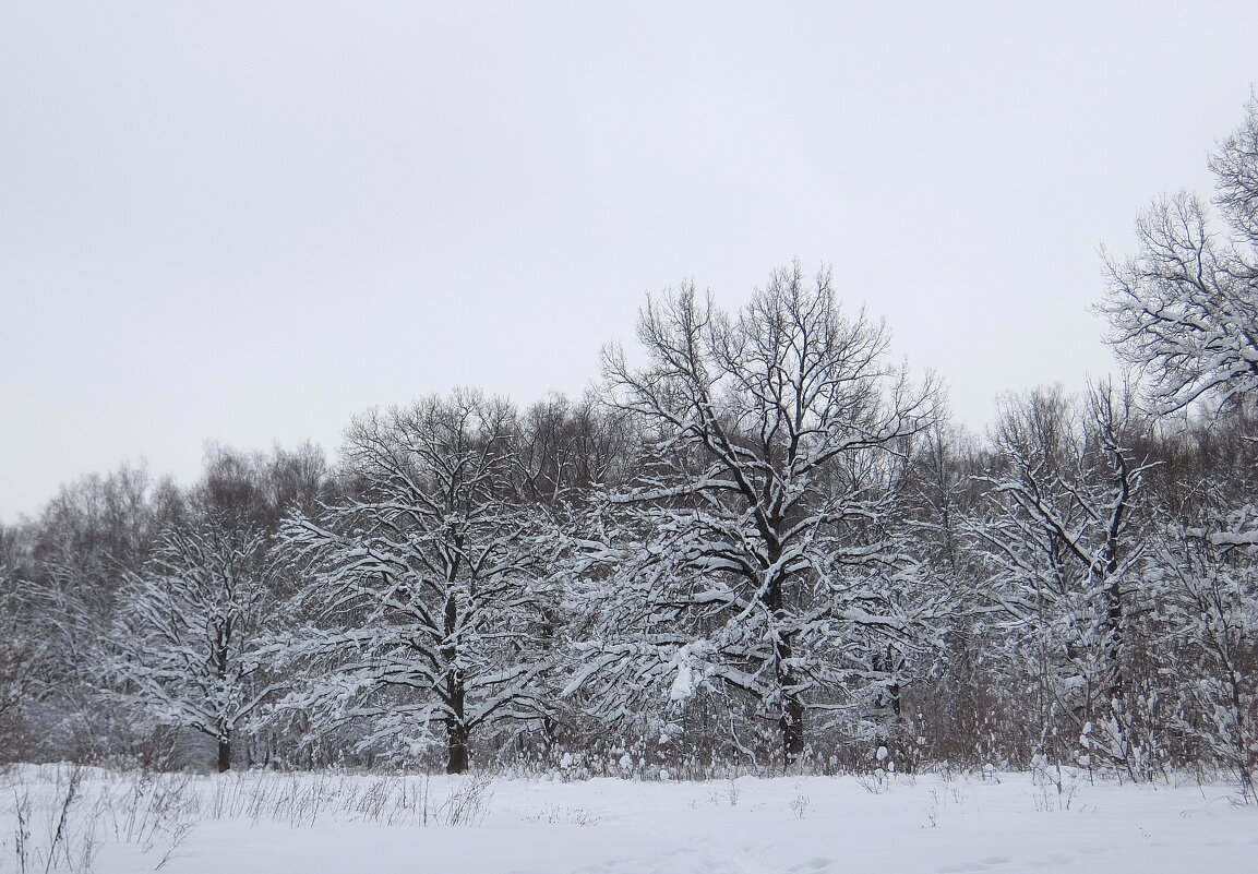 Зима танцует снежный вальс в круженьe томном и безбрежном. - Люба 