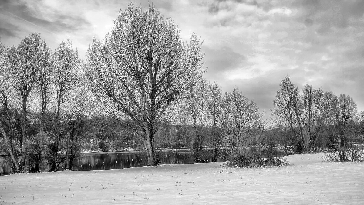 И снова серость - Андроник Александр И снова серость - Андроник Александр