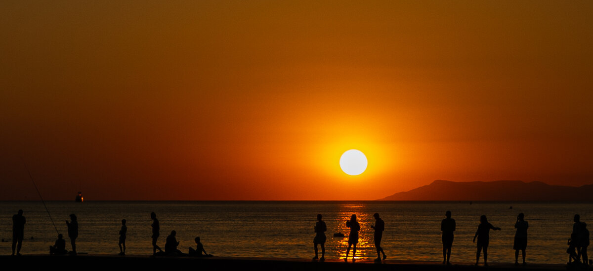 Театр силуэтов - игорь щелкалин