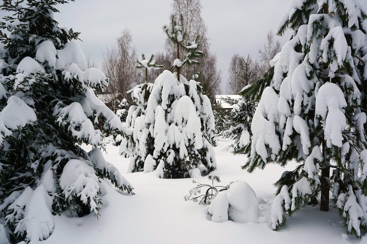 Замело... - Татьяна Тюменка