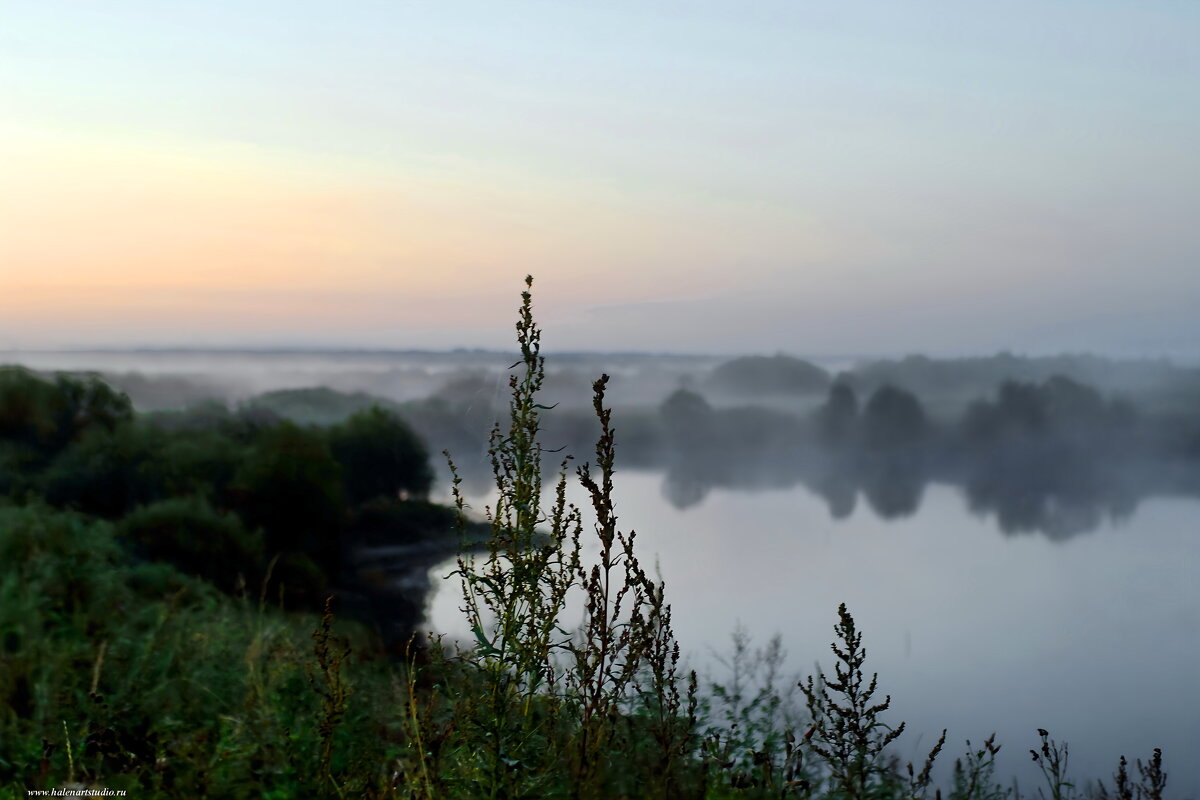 Утренний туман на трассе М8 - Игорь Корф