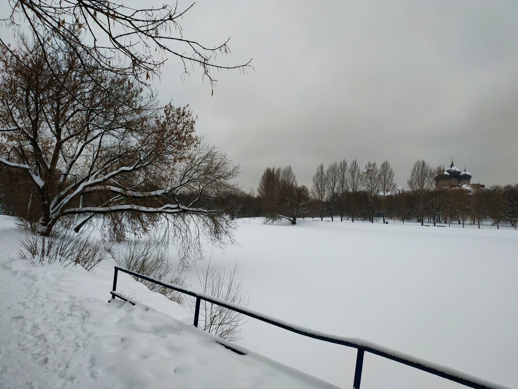 Сезон нецветной фотографии в разгаре - Андрей Лукьянов