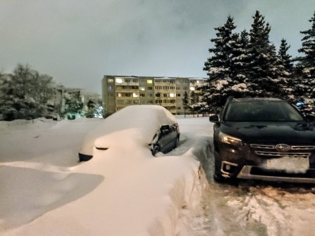 Заметает зима, заметает... - Veera V