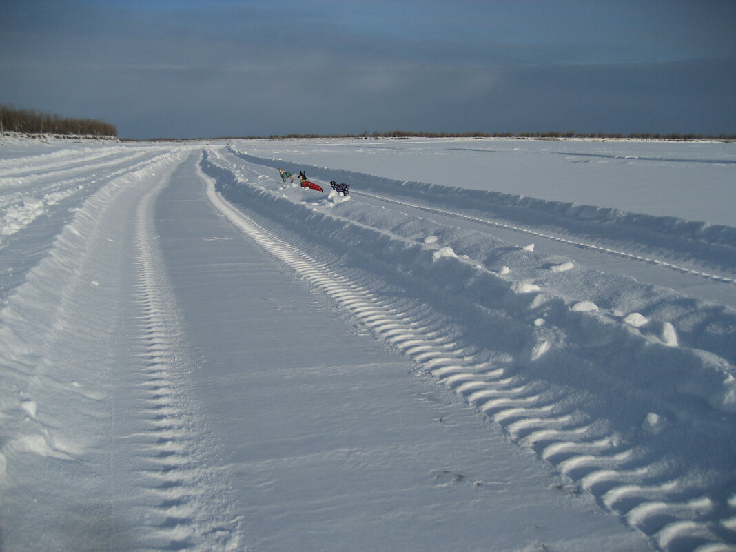 Зимник - Anna Ivanova