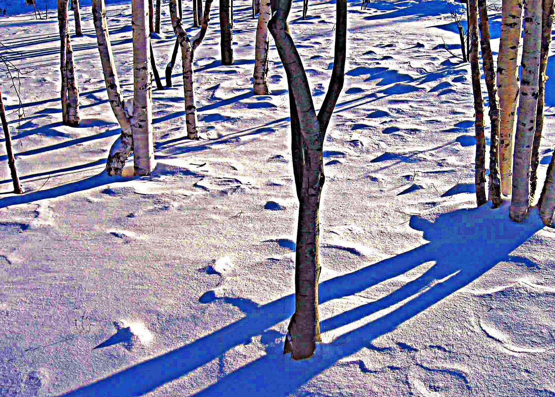 Февраль...Голая роща! - Владимир 