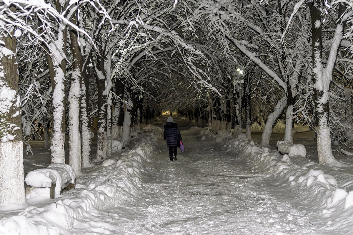 Прогулка по вечернему городу - Игорь Сикорский Прогулка по вечернему городу - Игорь Сикорский
