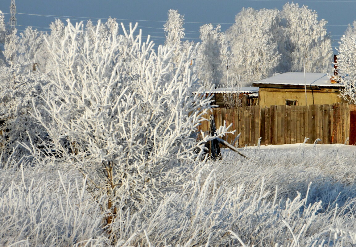 Цвет настроения-белый. - nadyasilyuk Вознюк
