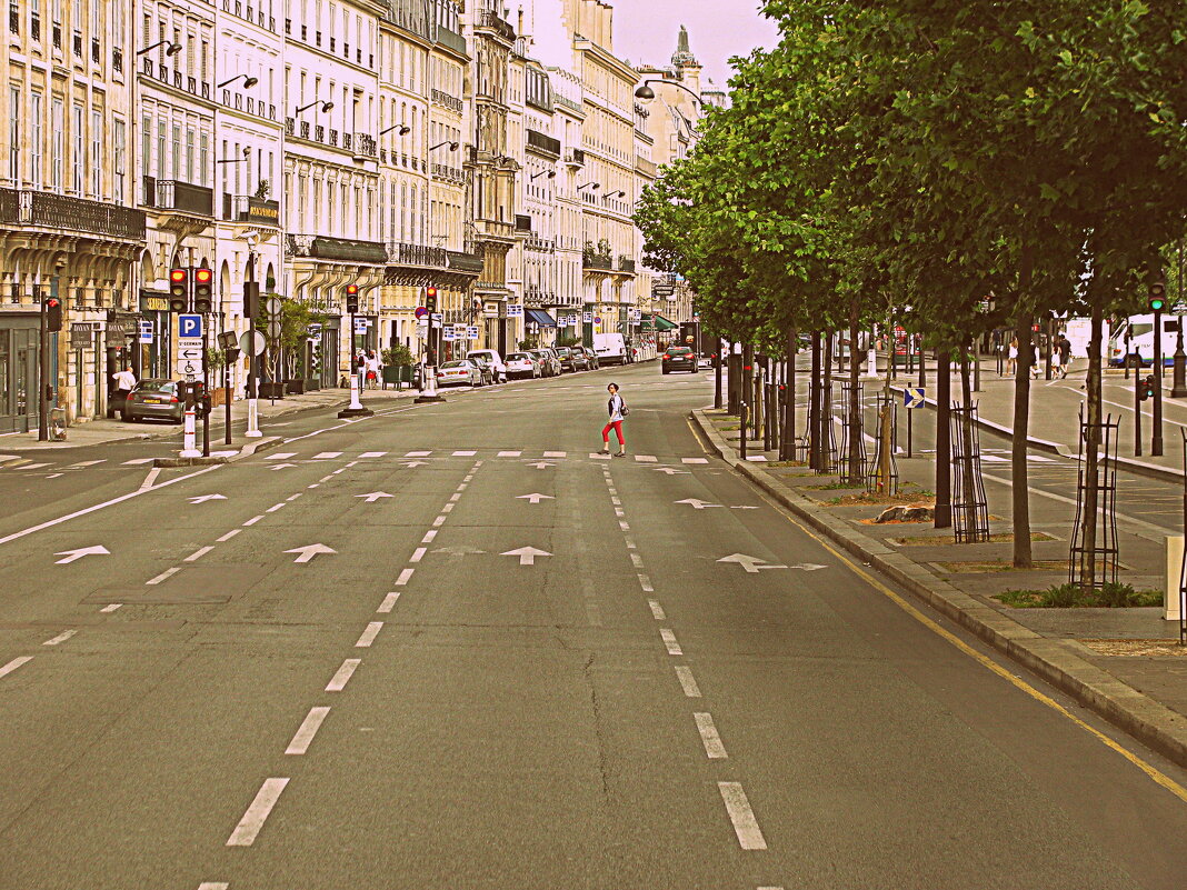 Париж с автобуса. - Владимир Драгунский