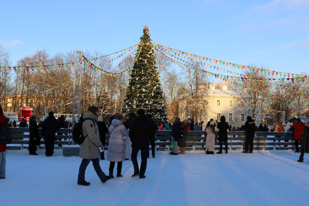 Каток Елагина парка - Ольга 