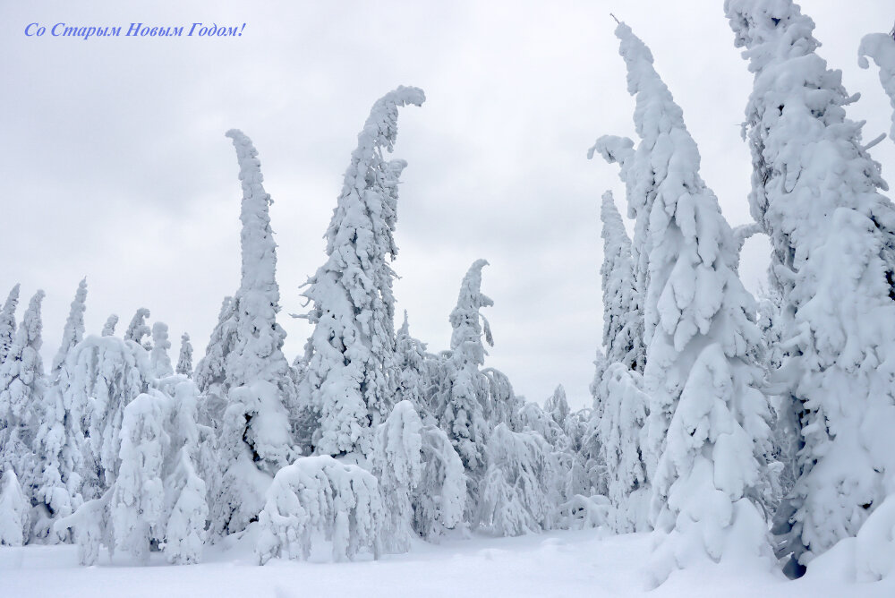 Со Старым Новым Годом! - Галина Ильясова