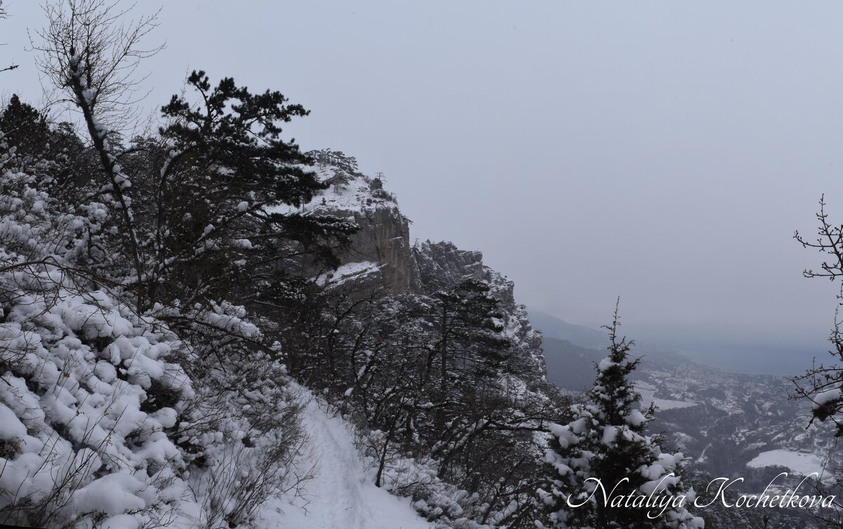 Природа Крыма - Amazing Cosmea
