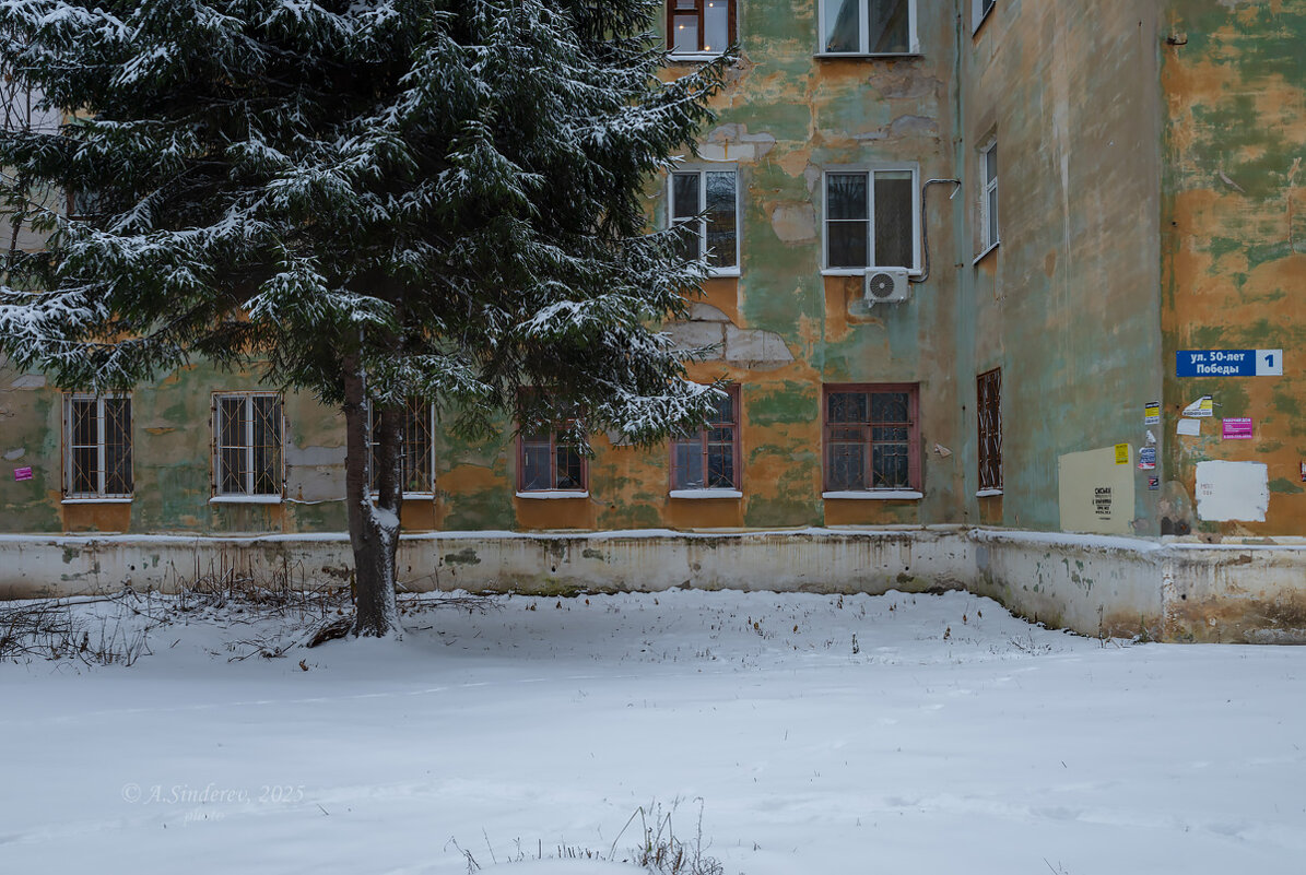 Старая ель около старого дома - Александр Синдерёв