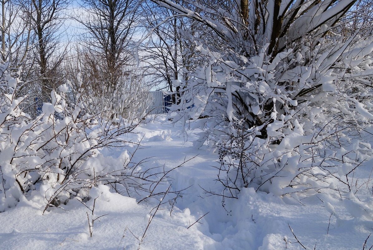 В окрестностях Калининграда - Рита Симонова